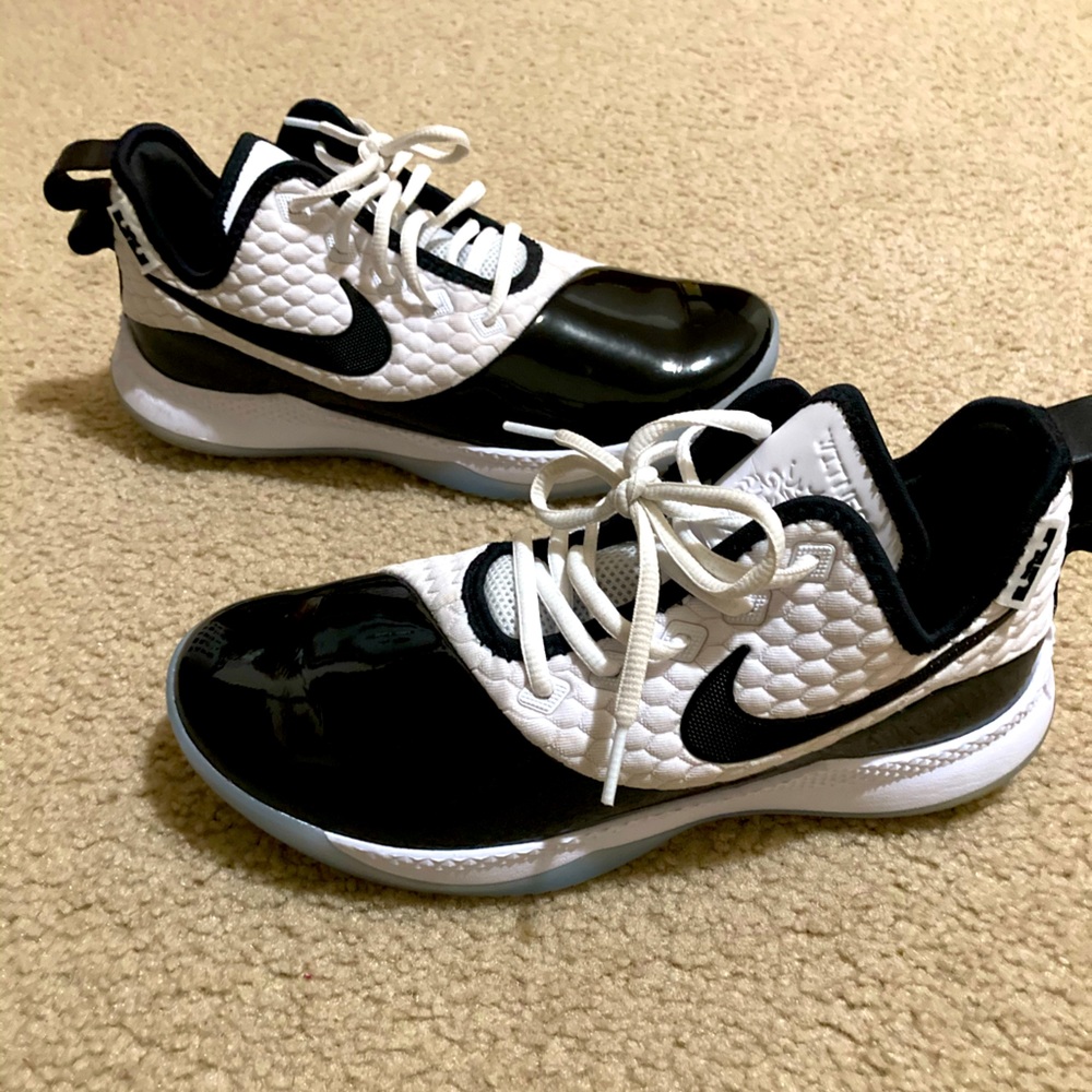 Nike LeBrons Akron 330